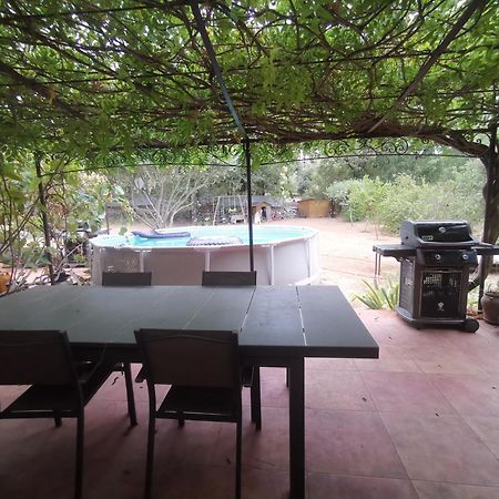 T2 Independant Terrasse Et Piscine Au Calme Var Sud De La France Flassans-sur-Issole エクステリア 写真